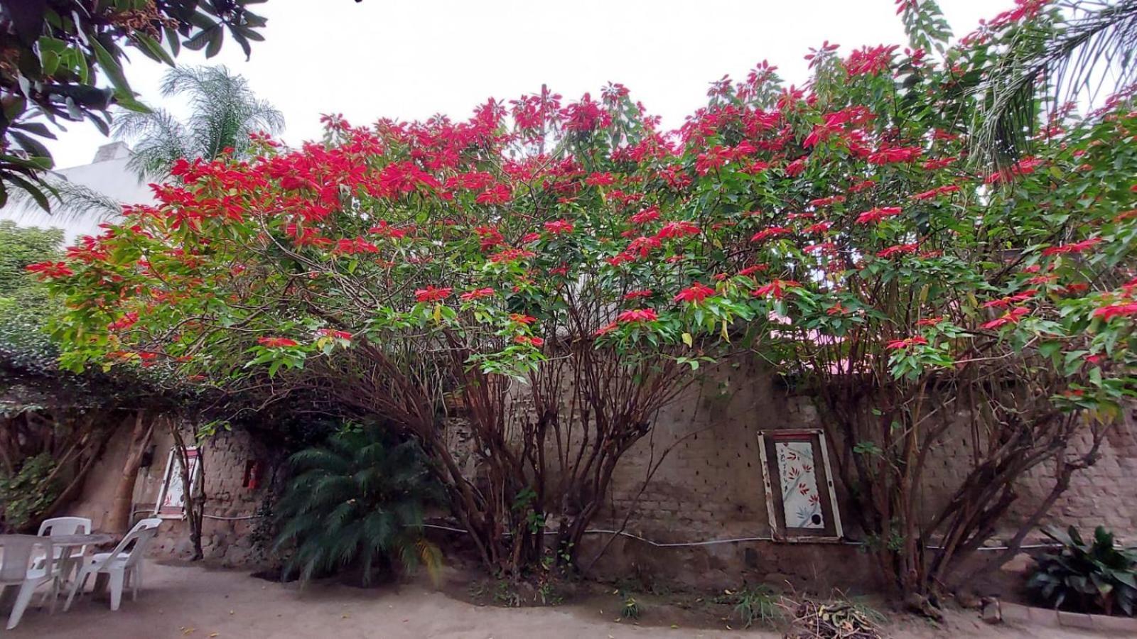 Samsara Hotel Salta Exterior photo